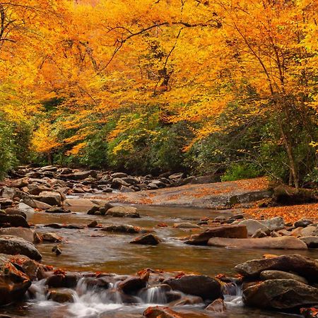 Romantic, Honeymoon Cabin In The Smokies! Gatlinburg Dış mekan fotoğraf