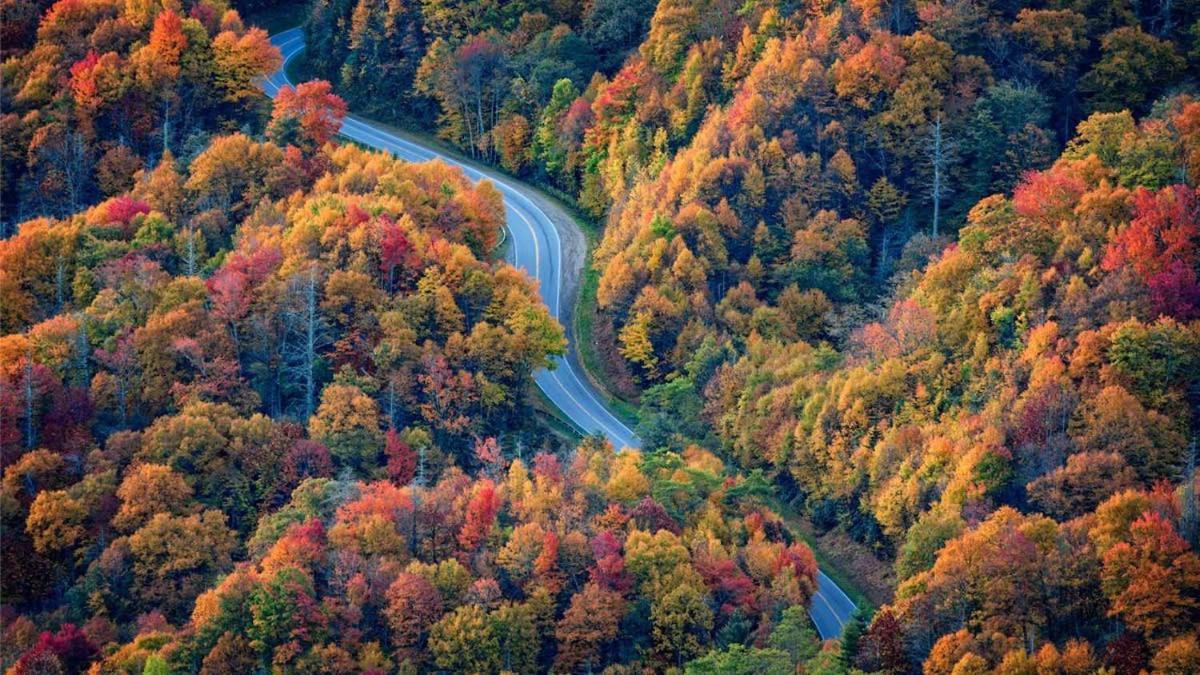Romantic, Honeymoon Cabin In The Smokies! Gatlinburg Dış mekan fotoğraf