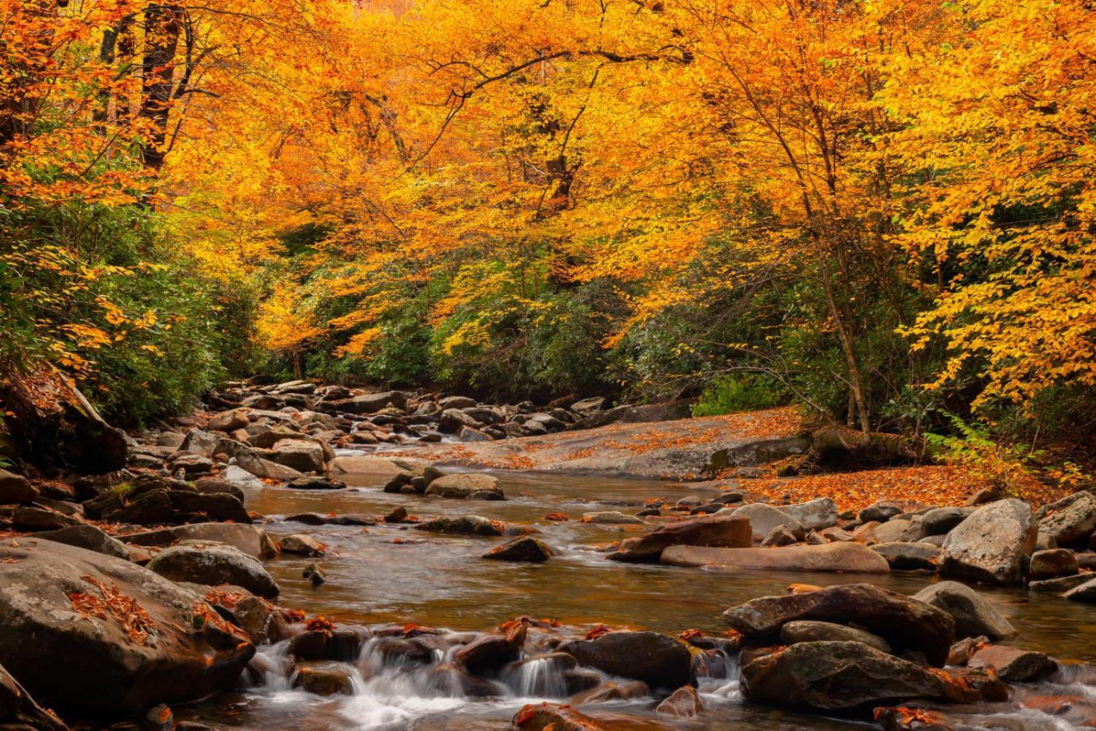 Romantic, Honeymoon Cabin In The Smokies! Gatlinburg Dış mekan fotoğraf